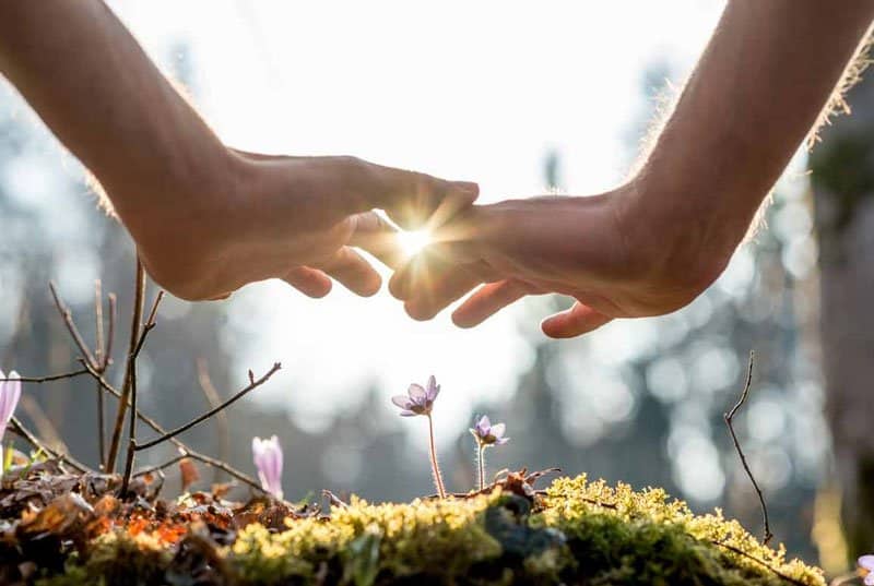 About-Trauma-and-Addiction