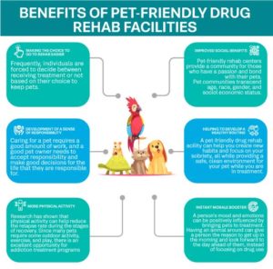 infographic of benefits of pet-friendly rehab