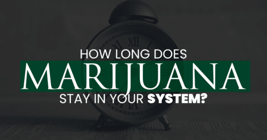 How long does Marijuana stay in your system?