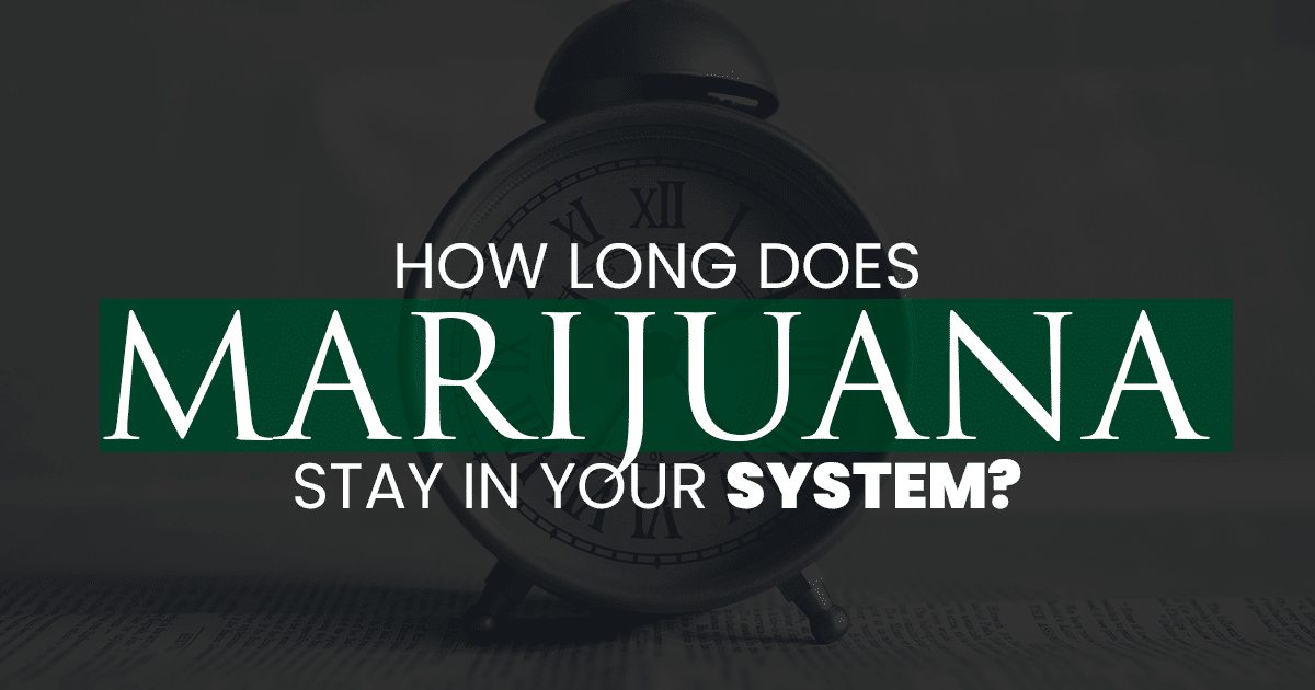 How long does Marijuana stay in your system?