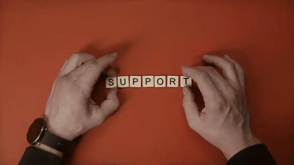 Dice that say Support