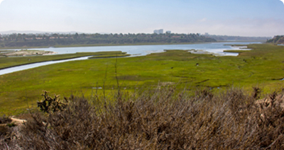 View of Newport Beach’s Back Bay nature preserve from a surrounding bluff.