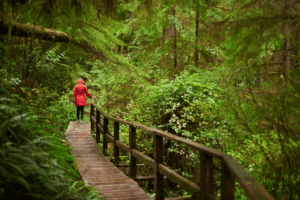 eco therapy