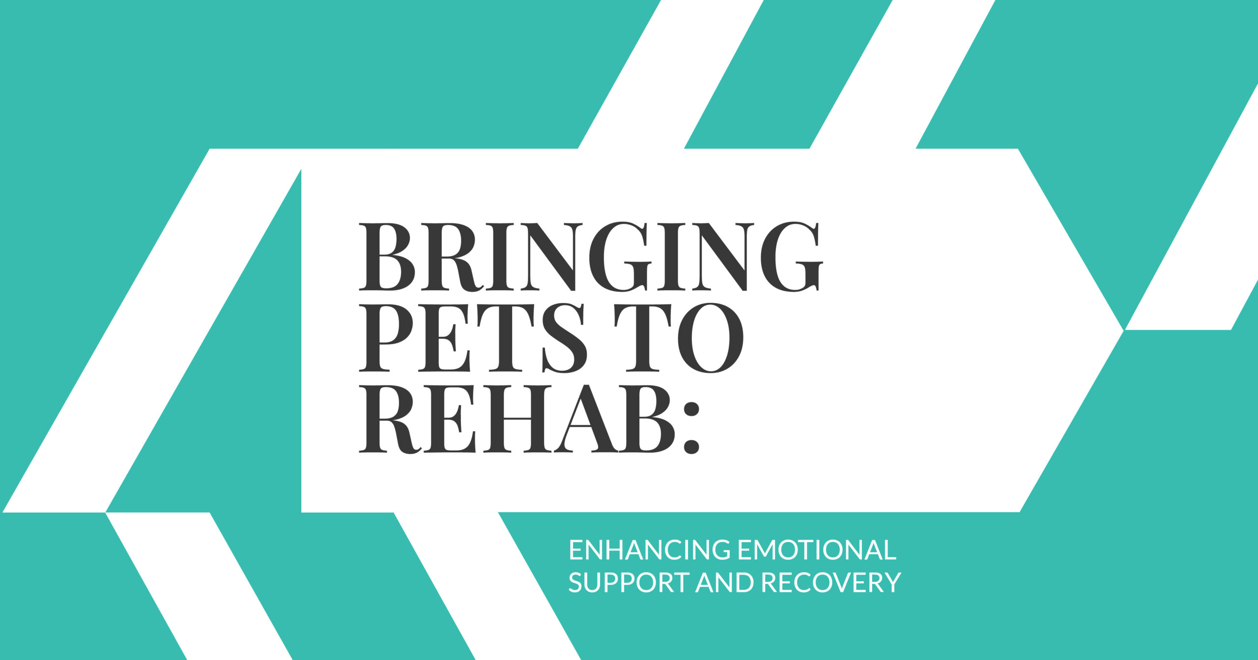 Bringing Pets to Rehab: Enhancing Emotional Support and Recovery. Learn about pet-friendly rehab centers for recovery.