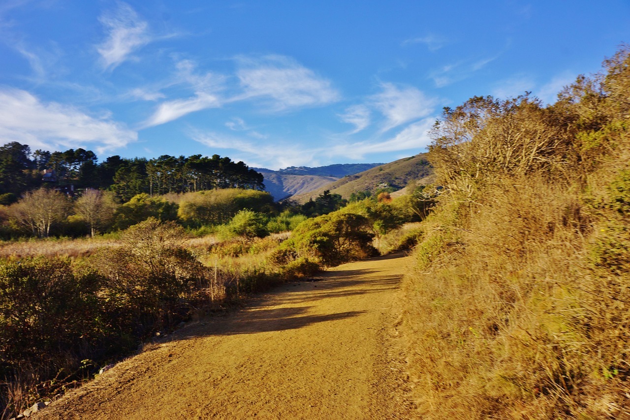 A dirt road in a forested canyon area near Fullerton, CA.