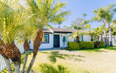 Charming white house framed by palm trees, showcasing a well-manicured lawn and inviting curb appeal in a sunny, tropical setting.